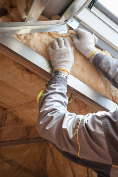 Best Home Insulation Services  in Boaz, WV