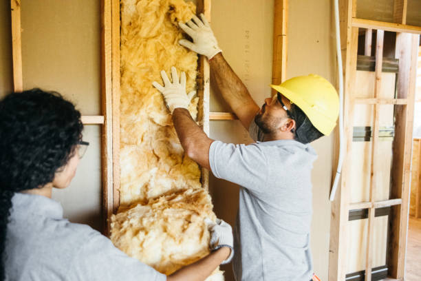 Best Blown-in Insulation  in Boaz, WV