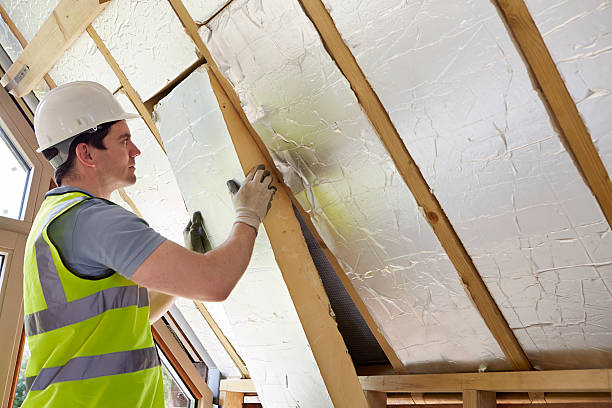Best Professional Insulation Contractor  in Boaz, WV