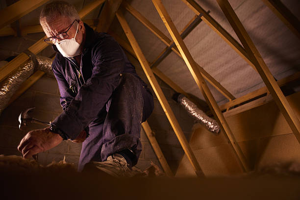 Best Insulation Contractors for Homes  in Boaz, WV